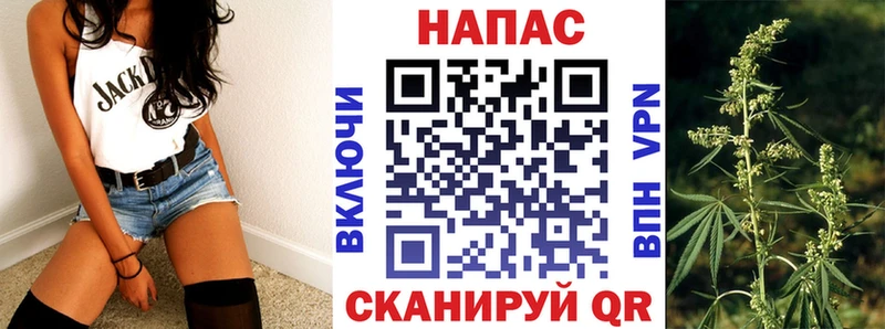 Магазины продажи наркотиков Ужур ГАШИШ  COCAIN  МЕФ  МДМА  Каннабис  Alpha PVP 